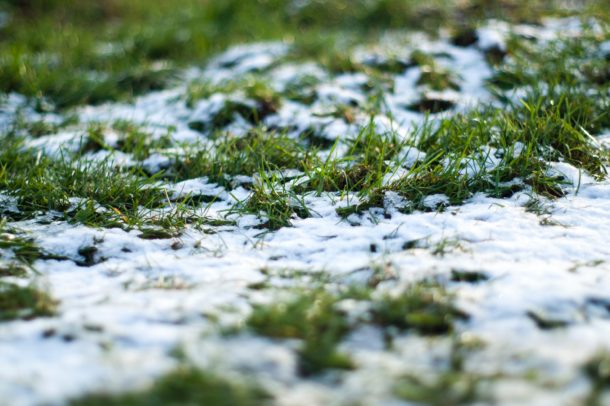 snow on grass - Haverland AG Innovations - sports field maintenance